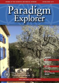 Paradigm Explorer – Issue  132