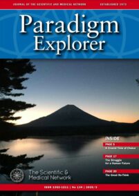 Paradigm Explorer – 134