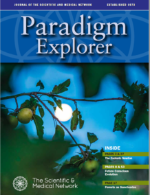 Paradigm Explorer – 125