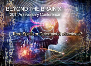 Beyond The Brain 2015