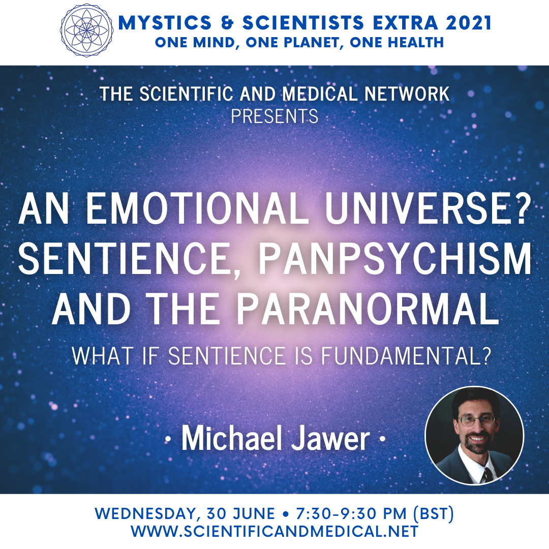 Michael Jawer An Emotional Universe