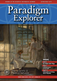 Paradigm Explorer 137