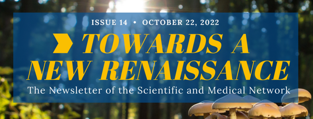 Towards A New Renaissance – Issue 14