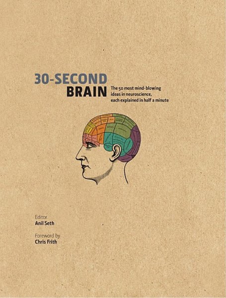 30-SECOND BRAIN