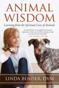 Animal Wisdom