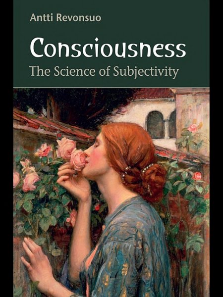 Consciousness – the Science of Subjectivity