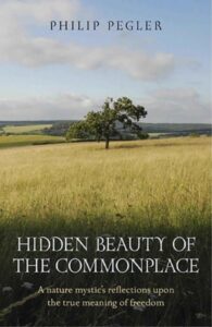 Hidden Beauty of the Commonplace