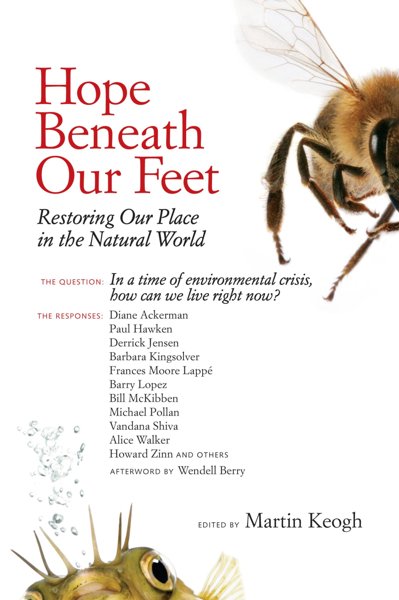 Hope Beneath Our Feet