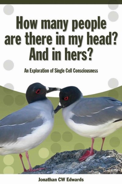 How Many People are There in my Head and in Hers?