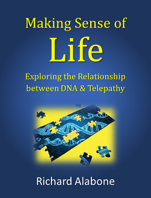 Making Sense of Life