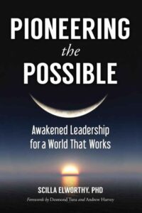 PIONEERING THE POSSIBLE