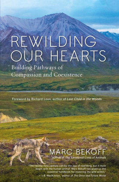 REWILDING OUR HEARTS