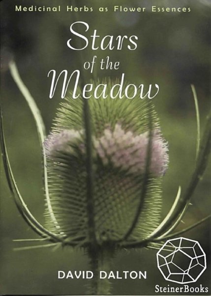 Stars of the Meadow