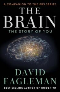 THE BRAIN: THE STORY OF YOU