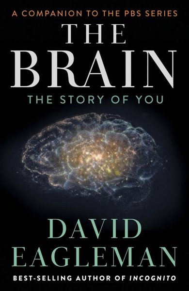THE BRAIN: THE STORY OF YOU