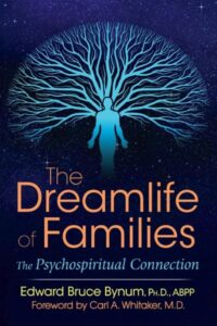 THE DREAMLIFE OF FAMILIES