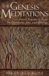 THE GENESIS MEDITATIONS