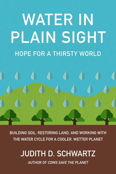 Water in Plain Sight