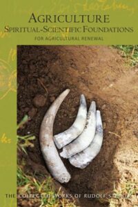 Agriculture – Spiritual-Scientific Explorations for Agricultural Renewal