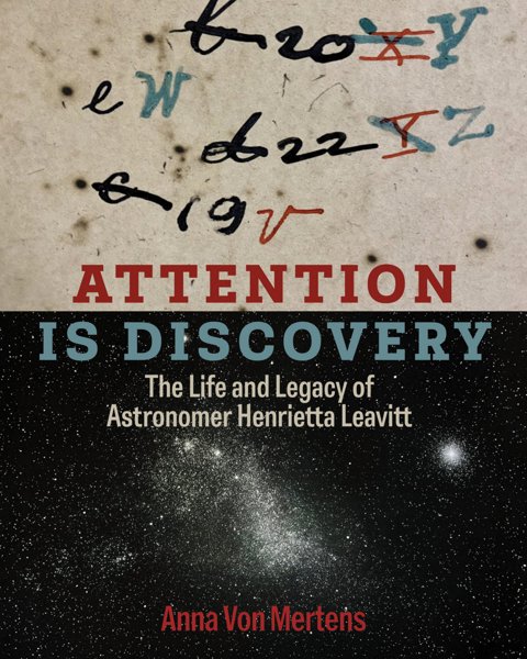 Attention is Discovery