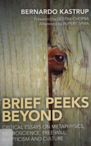 BRIEF PEEKS BEYOND