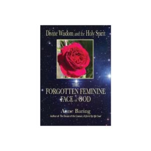 DIVINE WISDOM AND THE HOLY SPIRIT