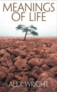 Meanings of Life