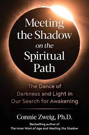 Meeting the Shadow on the Spiritual Path