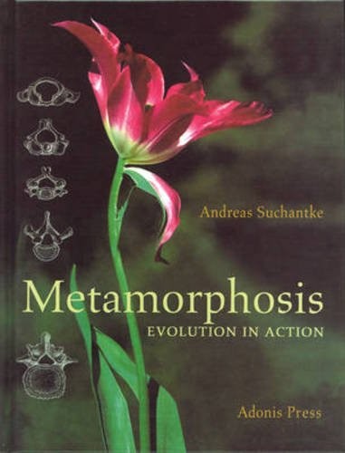 METAMORPHOSIS: Evolution in Action