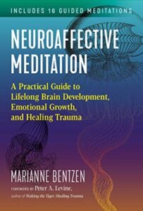 Neuraffective Meditation
