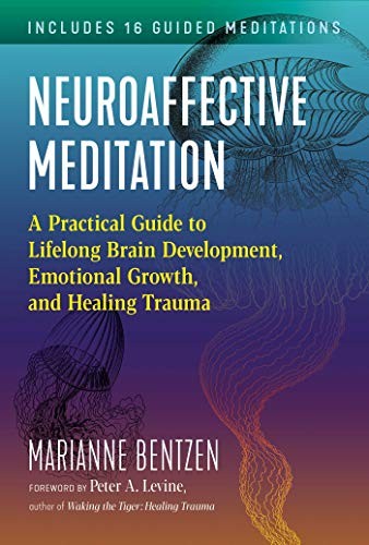 Neuraffective Meditation