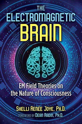 THE ELECTROMAGNETIC BRAIN