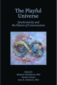 THE PLAYFUL UNIVERSE