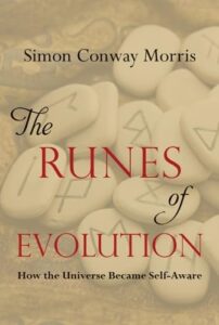 THE RUNES OF EVOLUTION: HOW THE UNIVERSE BECAME SELF AWARE