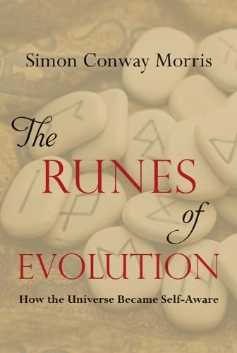 THE RUNES OF EVOLUTION: HOW THE UNIVERSE BECAME SELF AWARE