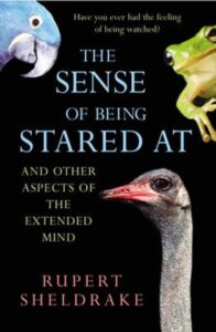 THE SENSE OF BEING STARED AT