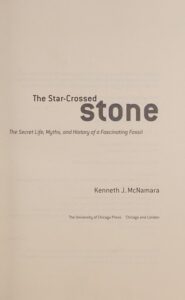 THE STAR CROSSED STONE