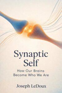 The Synaptic Self