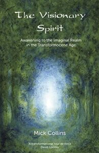THE VISIONARY SPIRIT