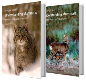 UNDERSTANDING MAMMALS