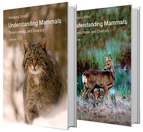 UNDERSTANDING MAMMALS
