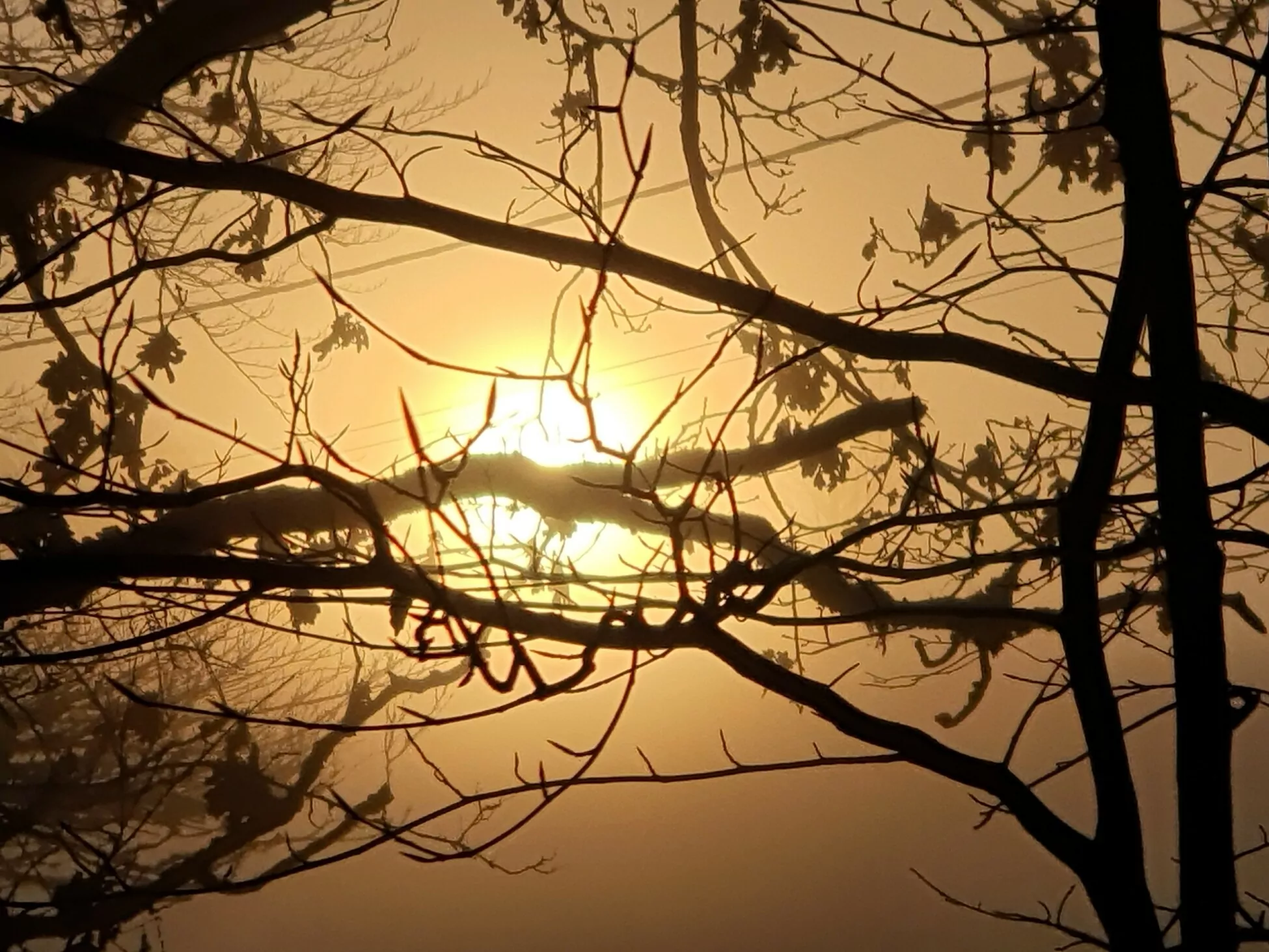 Spiritual Development Interest Group