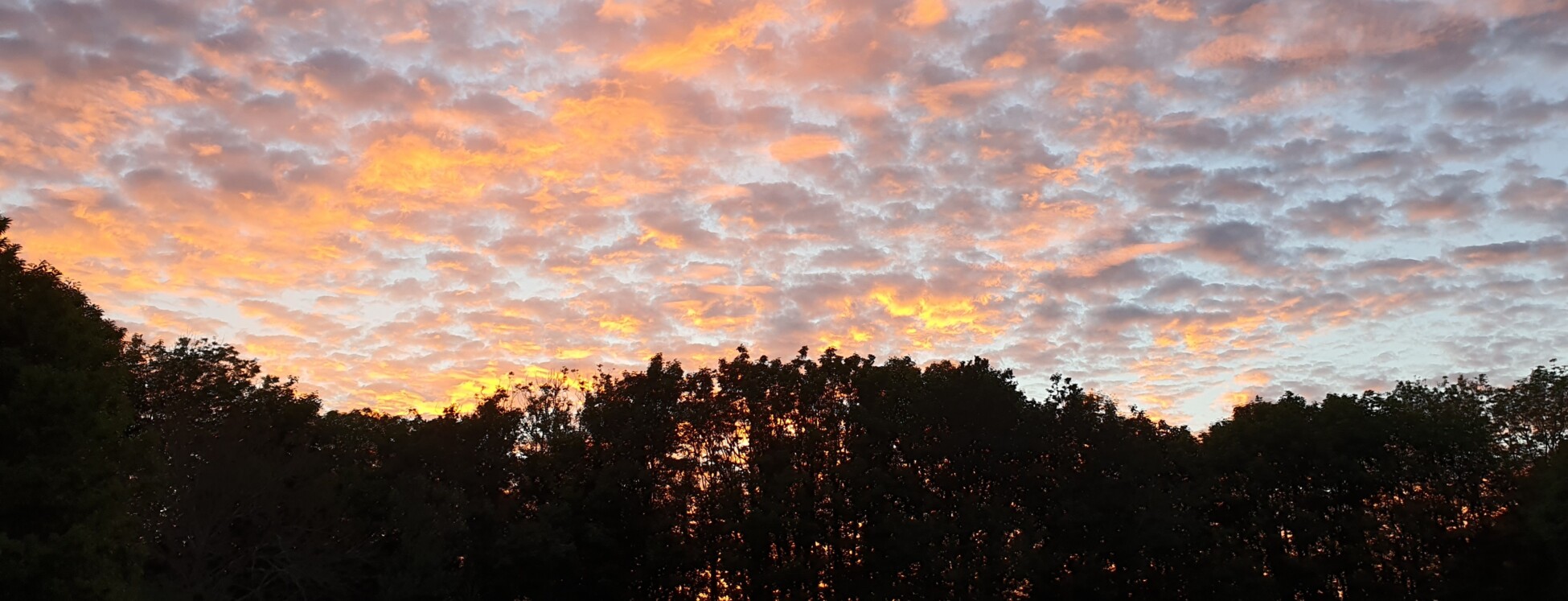 Early Career Professionals